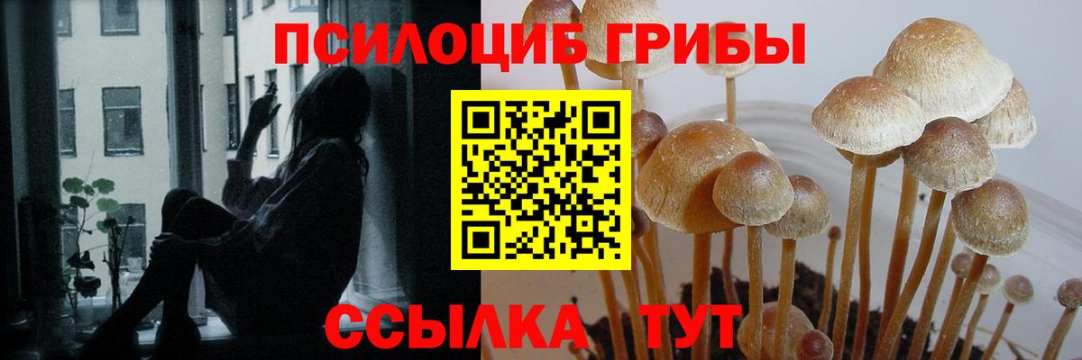 купить наркотики сайты  Галлюциногенные грибы GOLDEN TEACHER  Вход с VPN  Мытищи  Псилоцибиновые грибы ЛСД 